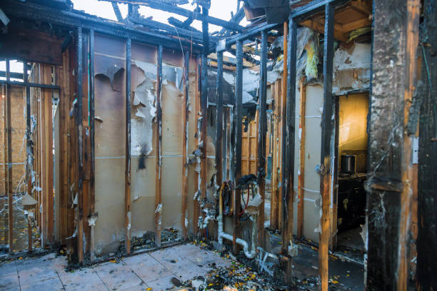 Professional Soot Cleanup technician working in Gotha, FL